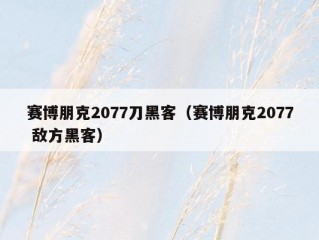 赛博朋克2077刀黑客（赛博朋克2077 敌方黑客）