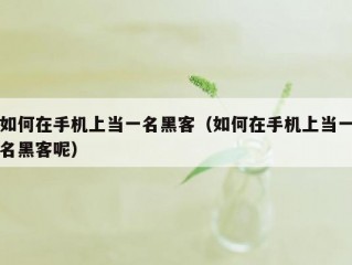 如何在手机上当一名黑客（如何在手机上当一名黑客呢）