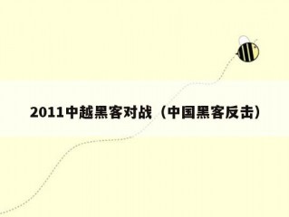 2011中越黑客对战（中国黑客反击）