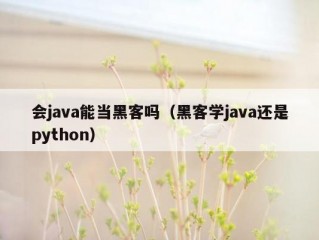 会java能当黑客吗（黑客学java还是python）