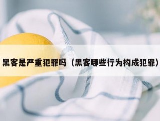 黑客是严重犯罪吗（黑客哪些行为构成犯罪）