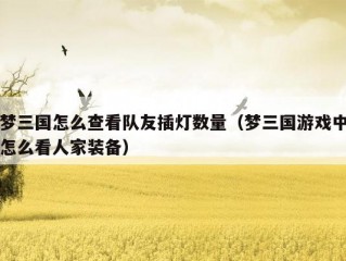 梦三国怎么查看队友插灯数量（梦三国游戏中怎么看人家装备）