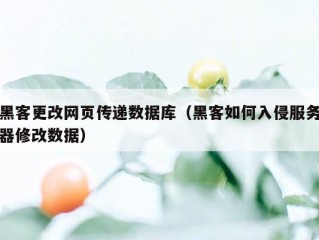 黑客更改网页传递数据库（黑客如何入侵服务器修改数据）