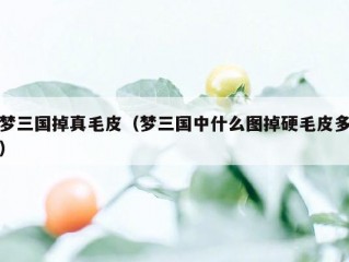 梦三国掉真毛皮（梦三国中什么图掉硬毛皮多）