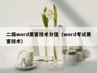 二级word黑客技术分值（word考试黑客技术）