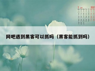 网吧遇到黑客可以抓吗（黑客能抓到吗）