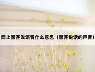 网上黑客发语音什么意思（黑客说话的声音）