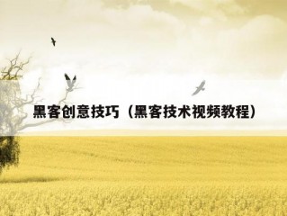 黑客创意技巧（黑客技术视频教程）