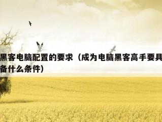 黑客电脑配置的要求（成为电脑黑客高手要具备什么条件）