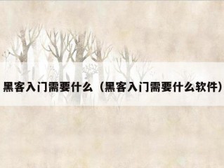 黑客入门需要什么（黑客入门需要什么软件）