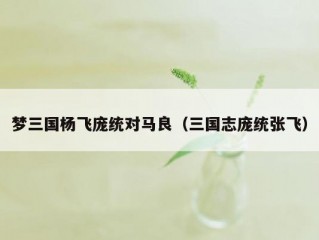 梦三国杨飞庞统对马良（三国志庞统张飞）