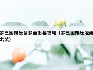 梦三国娱乐吕梦茹出装攻略（梦三国娱乐凌统出装）