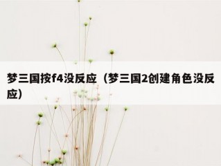 梦三国按f4没反应（梦三国2创建角色没反应）