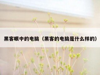 黑客眼中的电脑（黑客的电脑是什么样的）