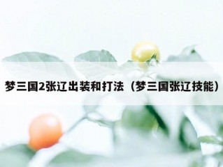 梦三国2张辽出装和打法（梦三国张辽技能）