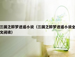 三国之醉梦逍遥小说（三国之醉梦逍遥小说全文阅读）