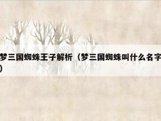 梦三国蜘蛛王子解析（梦三国蜘蛛叫什么名字）