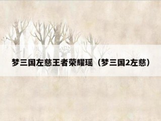 梦三国左慈王者荣耀瑶（梦三国2左慈）