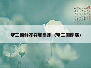 梦三国鲜花在哪里刷（梦三国刷新）