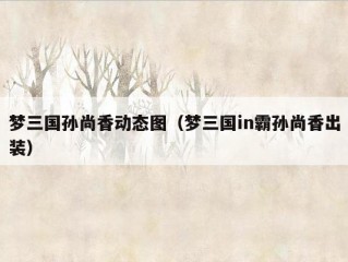 梦三国孙尚香动态图（梦三国in霸孙尚香出装）