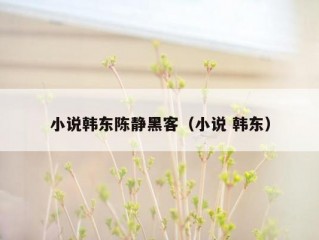 小说韩东陈静黑客（小说 韩东）