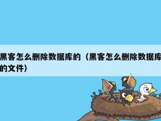 黑客怎么删除数据库的（黑客怎么删除数据库的文件）