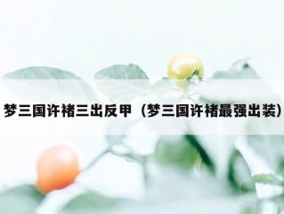 梦三国许褚三出反甲（梦三国许褚最强出装）