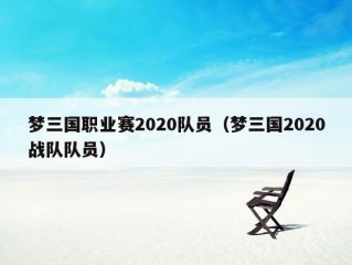 梦三国职业赛2020队员（梦三国2020战队队员）