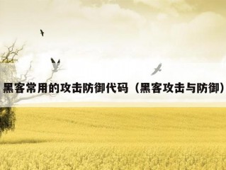 黑客常用的攻击防御代码（黑客攻击与防御）