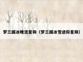 梦三国冰魄流星驹（梦三国冰雪进阶星陨）