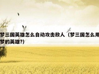 梦三国英雄怎么自动攻击敌人（梦三国怎么用梦的英雄?）