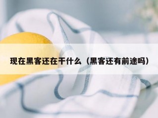 现在黑客还在干什么（黑客还有前途吗）