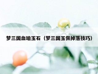 梦三国血珀玉石（梦三国玉佩掉落技巧）