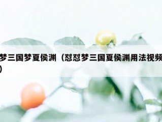 梦三国梦夏侯渊（怼怼梦三国夏侯渊用法视频）