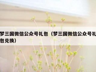 梦三国微信公众号礼包（梦三国微信公众号礼包兑换）