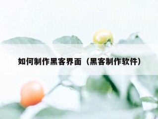 如何制作黑客界面（黑客制作软件）