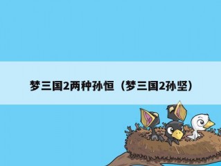 梦三国2两种孙恒（梦三国2孙坚）