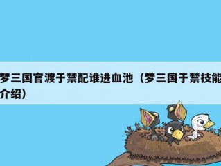 梦三国官渡于禁配谁进血池（梦三国于禁技能介绍）