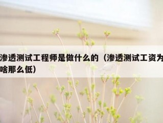 渗透测试工程师是做什么的（渗透测试工资为啥那么低）