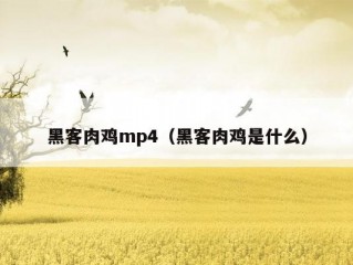 黑客肉鸡mp4（黑客肉鸡是什么）