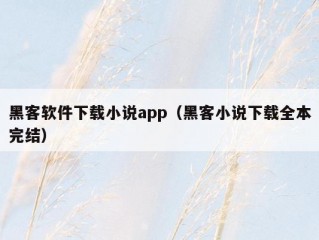 黑客软件下载小说app（黑客小说下载全本完结）