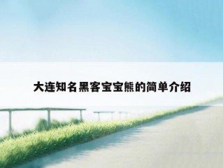 大连知名黑客宝宝熊的简单介绍