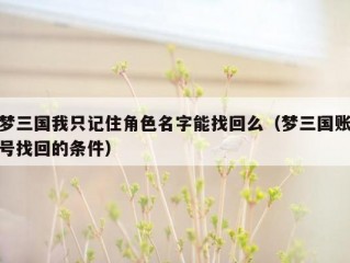 梦三国我只记住角色名字能找回么（梦三国账号找回的条件）