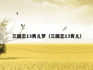 三国志13男儿梦（三国志13育儿）