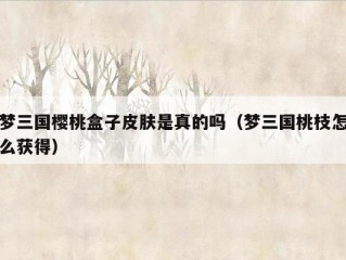 梦三国樱桃盒子皮肤是真的吗（梦三国桃枝怎么获得）