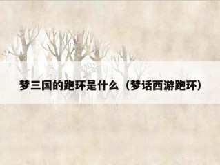 梦三国的跑环是什么（梦话西游跑环）