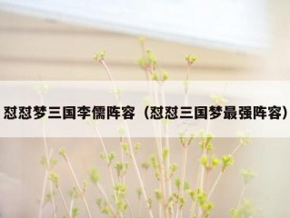 怼怼梦三国李儒阵容（怼怼三国梦最强阵容）