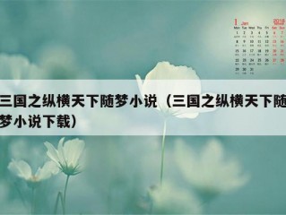 三国之纵横天下随梦小说（三国之纵横天下随梦小说下载）