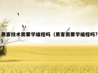 黑客技术需要学编程吗（黑客需要学编程吗?）