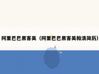 阿里巴巴黑客吴（阿里巴巴黑客吴翰清简历）